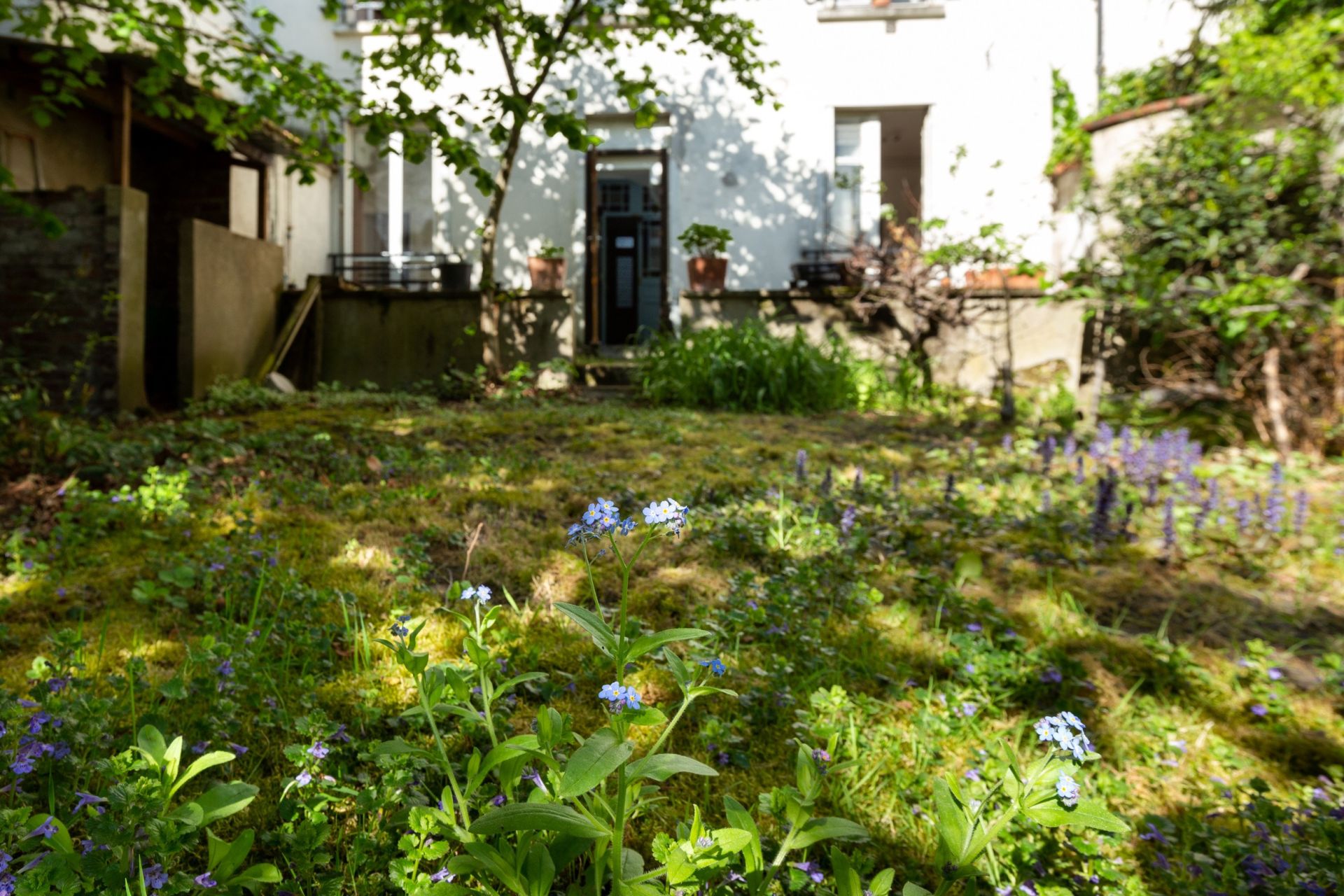 Vente Maison 6&nbsp;Pièces 265&nbsp;m² Vincennes